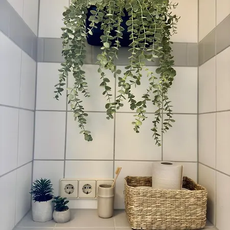 Staytime - Mango * Drezno